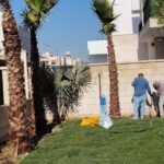 تنسيق حدائق منزلية الرياض